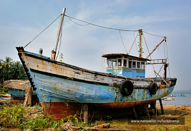 photo 2014717