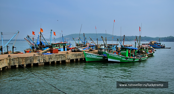 photo 2014719