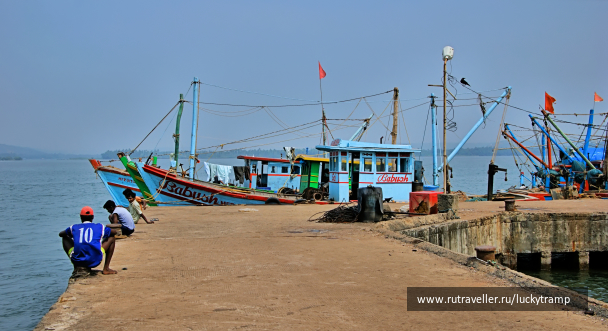 photo 2014720