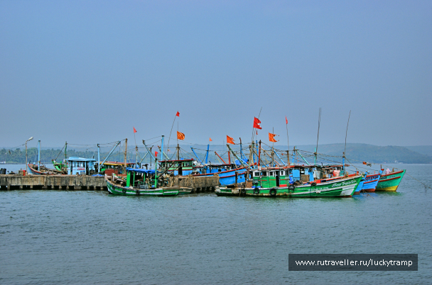 photo 2014721