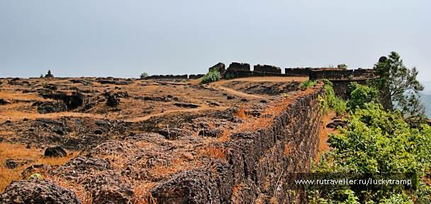 photo 2014725