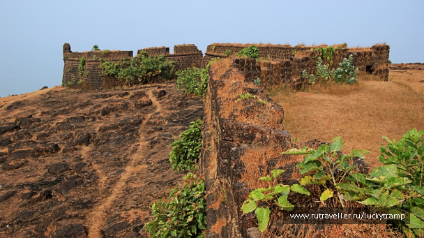 photo 2014728