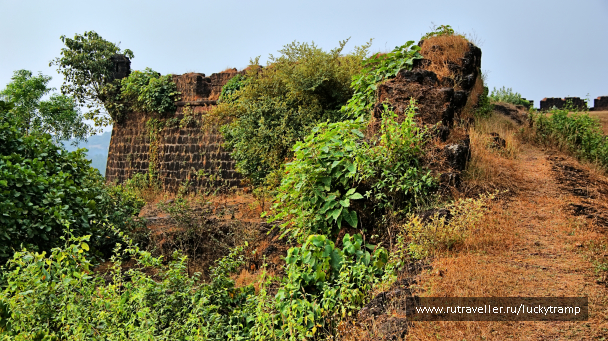 photo 2014729