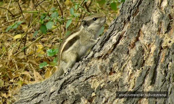 photo 2027944