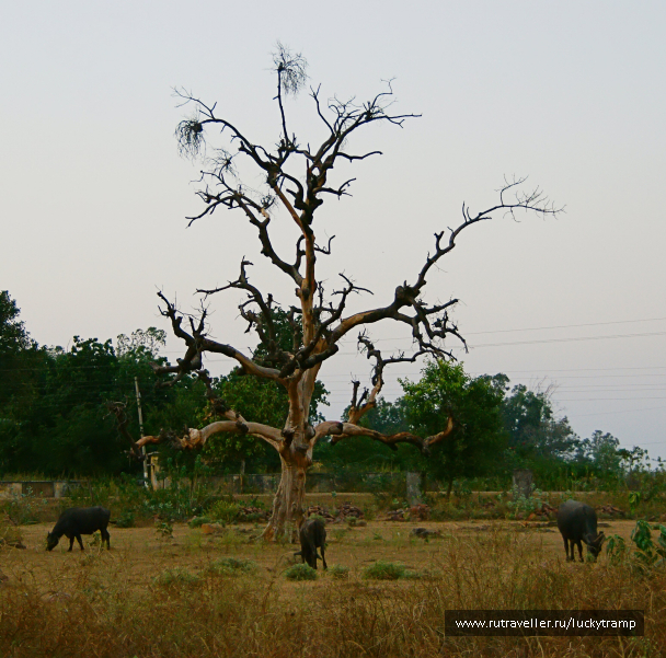 photo 2028163