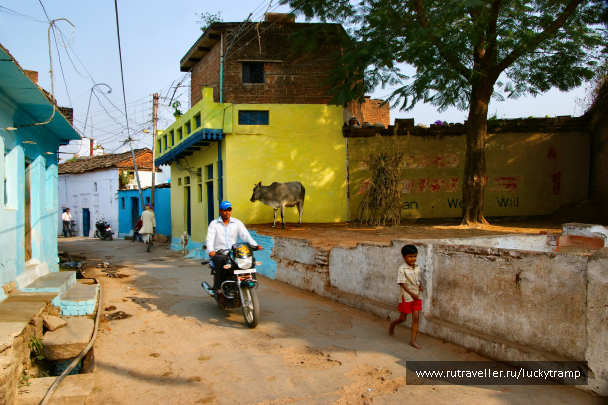 photo 2028821