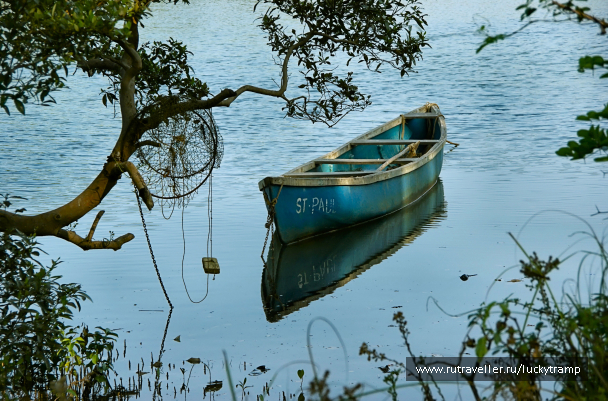 photo 2047520