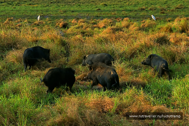 photo 2047529