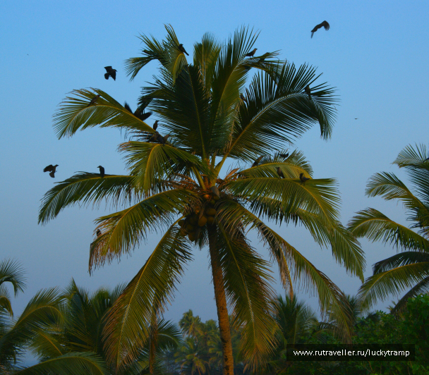 photo 2047532