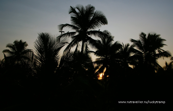 photo 2047533
