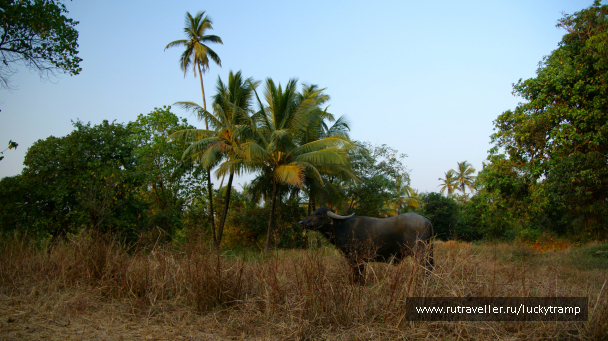 photo 2047541