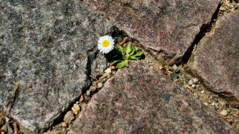 photo 2014776