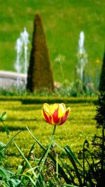 photo 2014777
