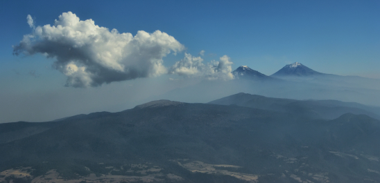 photo 2011392