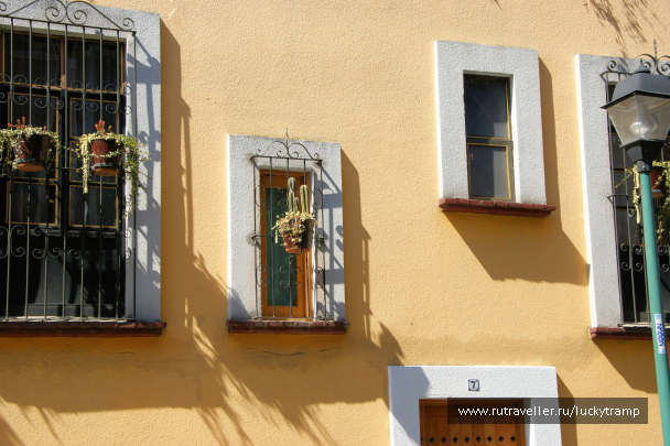 photo 2017146