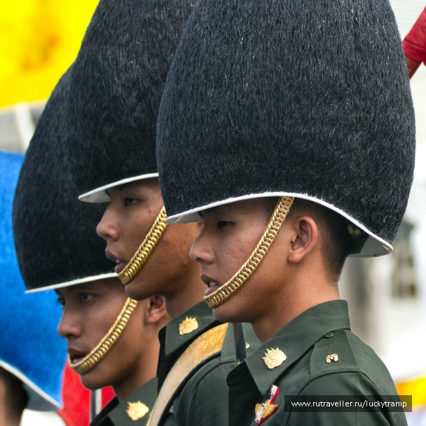 photo 2015571