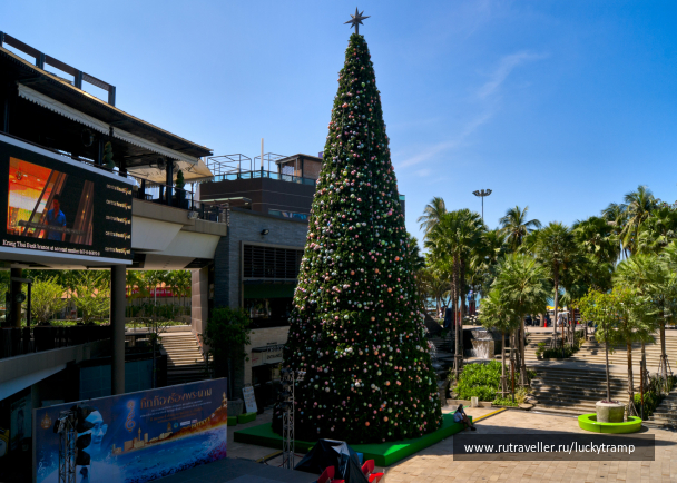 photo 2015586
