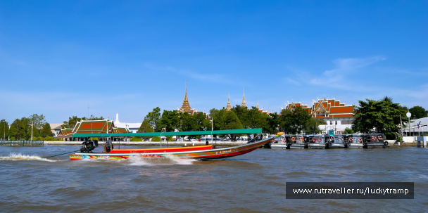 photo 2015766