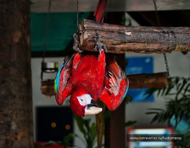 photo 2009804