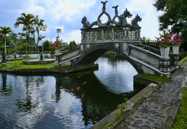 photo 1875171