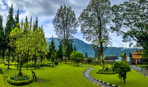 park11a