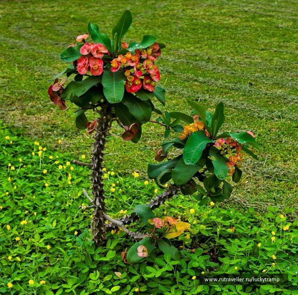 photo 2022479