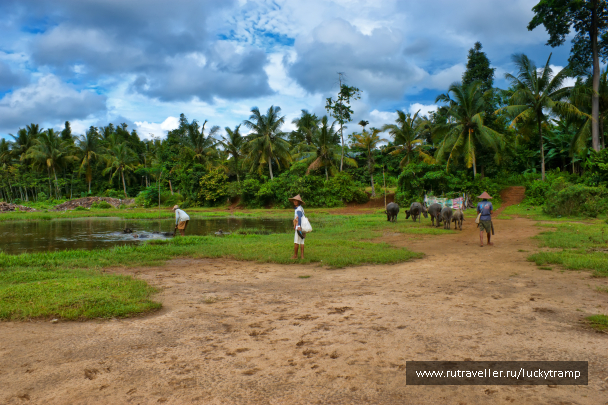 photo 2071553
