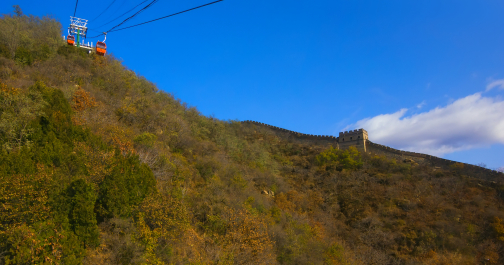 photo 1862405