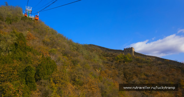 photo 1862405