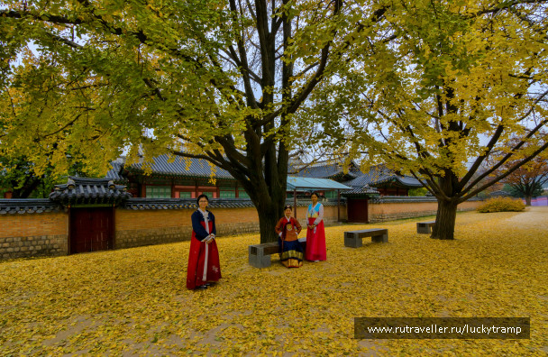 photo 1867538