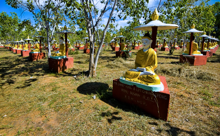 photo 1767347