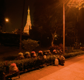 photo 1859516