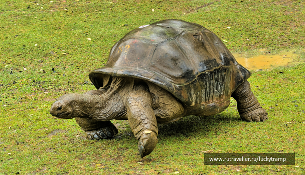 photo 2059447
