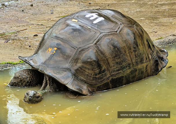 photo 2059573