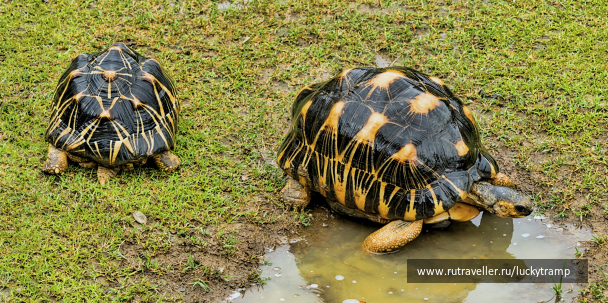 photo 2059576