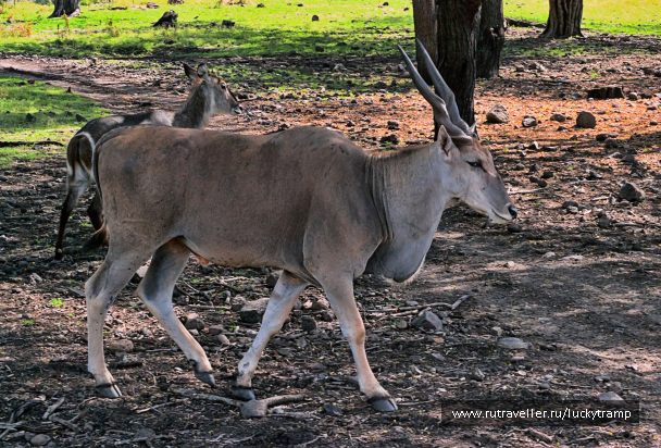 photo 2109693
