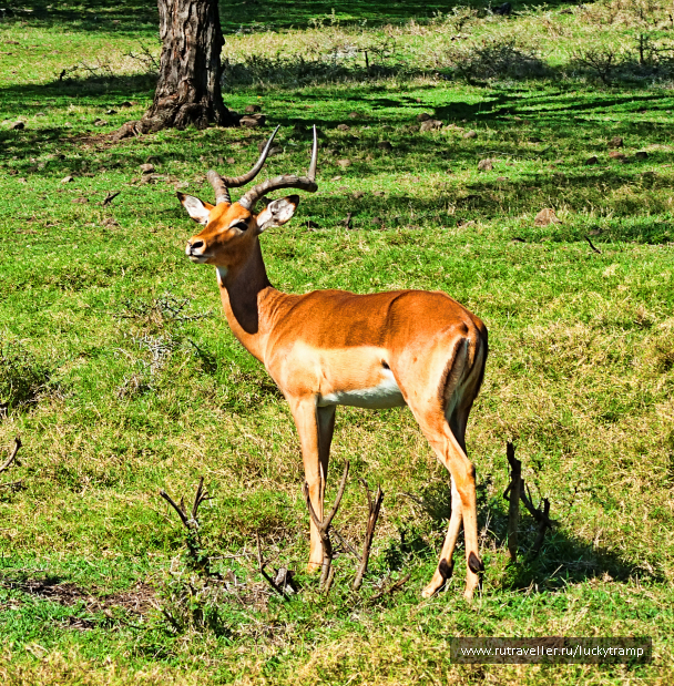photo 2109696