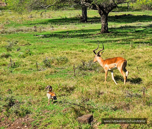 photo 2109698