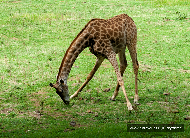 photo 2109702