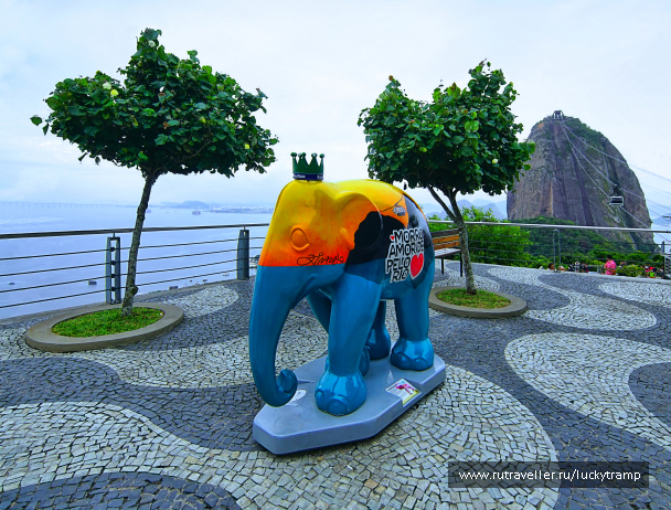 photo 2087881