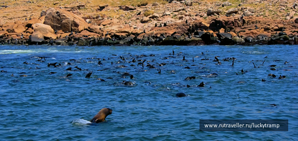 photo 1873431