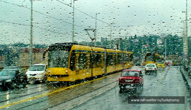 photo 2010059