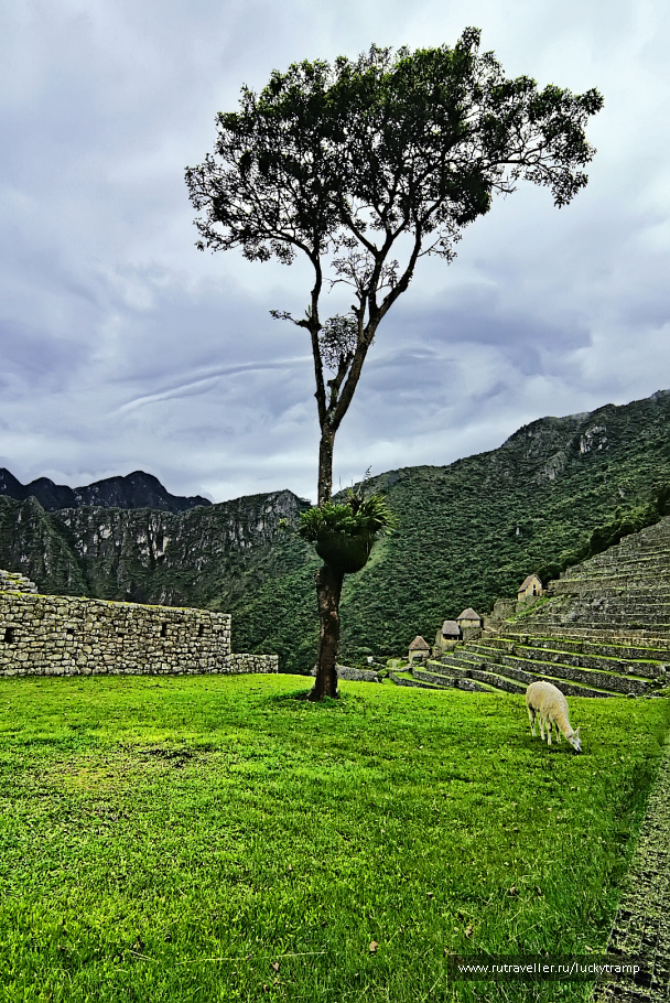 photo 1861830