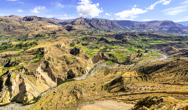 DSC01642-1 colca