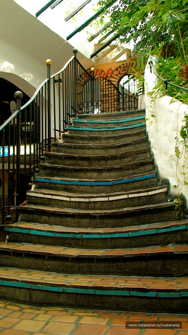 photo 2010048