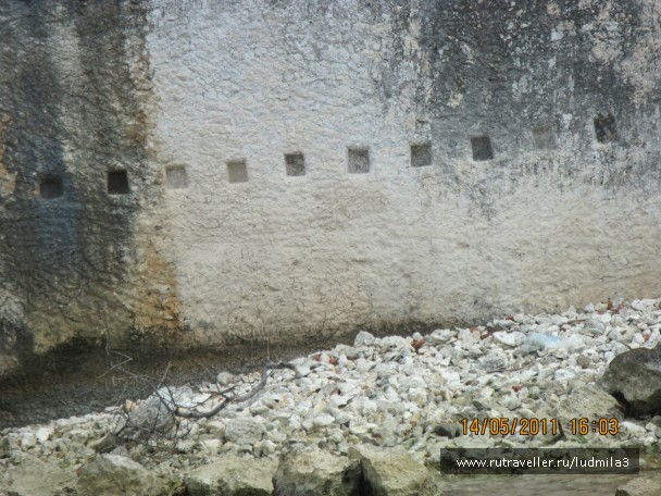 photo 893365