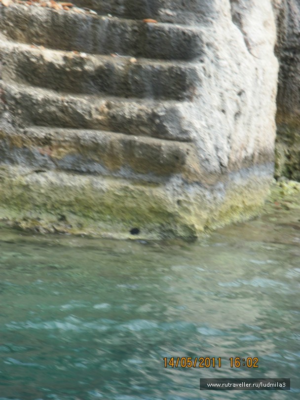 photo 893367