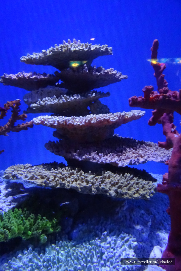photo 1327227
