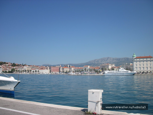 photo 1422991