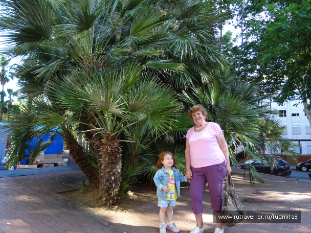 photo 1329616